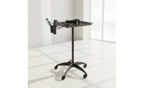 Salon Tray Stand Adjustable Height Salon Tray on Wheels Wheeled Hairdresser Trolley for Stylists, Hairdressers, Barbershop, Beauty Parlor