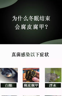乌龟冬眠箱过冬用品冬眠土椰土巴西龟冬眠平台过冬套装保温箱套餐 消毒椰土1斤