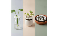 3 Pieces Openwork Propagation Tray Lid Round Propagation Lid Plastic Reusable for Gardeners, Growers, Hydroponics, Windowsill