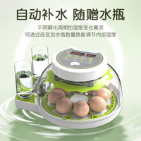 孵化器小型家用型全自动智能小鸡鹦鹉鸽子鸟蛋小飞碟孵蛋器孵化箱