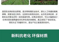 种菜防虫网种菜 农用防虫网农用蔬菜防虫网大棚地种菜专用网 纱网 2.5米宽5米长60目防虫网