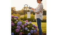 Waterproof Dragonfly Cutout Lantern Auto On/deactivate Hollow Metal Solar Lantern Outdoor Lighting for Patio