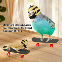 Adjustable Turtle Harness and Mini Skateboard Set
