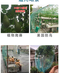 爬藤网瓜果网百香果网葡萄园网种植网大棚网吊瓜网豆角网西瓜网 60股20厘米8米宽10米长(送绳子）