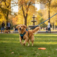 Dog Harness and Leash Set Easy Control Handle No-Pull Dog Harness for Large Dogs