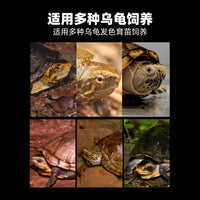 乌龟保温盒发色专用养龟缸孵化饲养箱黄缘龟蛋龟育苗隔离盒沉淀板