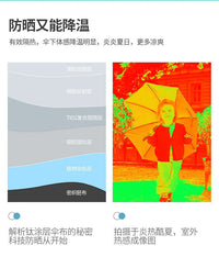 万向夹+地插 +65cm花伞 植物花卉防晒伞盆景盆栽遮阳伞防雨伞户外