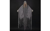 Hanging Specter with Lights and Sound | Halloween, Light-up, moving skeletal visage specter Hanging Decoration, for creepy manor