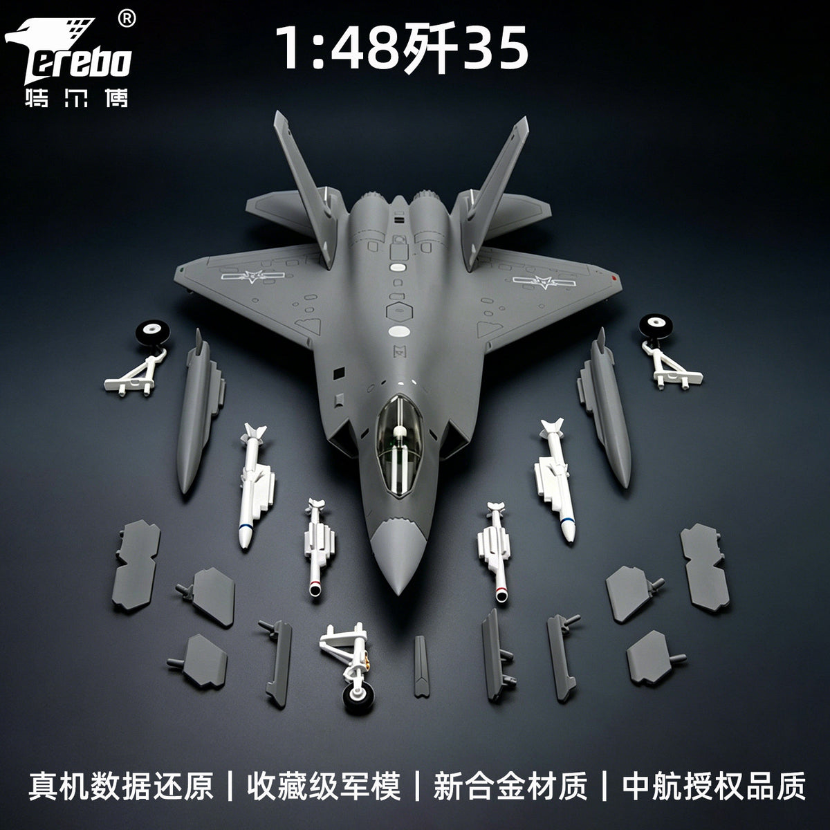 Terebo 1:48 J-35A Fighter Aircraft Model Alloy Display Piece