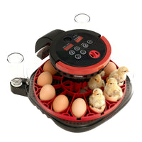 Hongbi Visual Quail Chick Incubator Small Household Smart Hatchery with Egg Candler, EU Plug