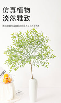 仿真植物软胶南天竹天葵竹 新中式家居装饰 工程造景橱窗展示绿植