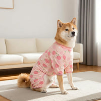 Four-Legged Rehabilitative Dog Suit for Large Breeds, Crew Neck Four-Legged Clothing, Anti-Licking Spring Summer Autumn Casual Outfit
