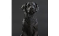 Resin Sitting Dog Figurine Seated Dog Figurine Tabletop Ornament Carved for Collectors, Living Room, Entryway, Office, Bookshelf