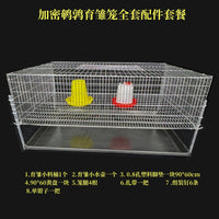 Galvanized Double-Door Wire Cage for Quail, Partridge, and Quail Chicks