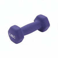 Cast Iron Dumbbell Floor Friendly Hex Dumbbell Non-Slip Hand Weight for Gym