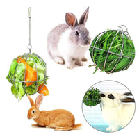 Stainless Steel Hay Feeder Ball for Rabbits, Guinea Pigs, and Hamsters