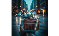 Wire front Basket  Open-Top Motorcycle Basket Rectangular for Commuters, Couriers, Commuting, Errands