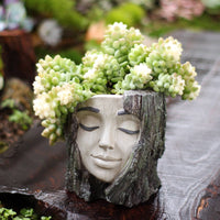 Tree Facial Planter Outdoor Tree Trunk Planter Crafted Aesthetic Garden Decor for Yard