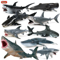 Solid Animal Model Simulation Cognitive Bird Figures Eagle Parrot Peacock Flamingo Owl Toy Ornament