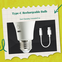 Dimmable LED hanging light, USB