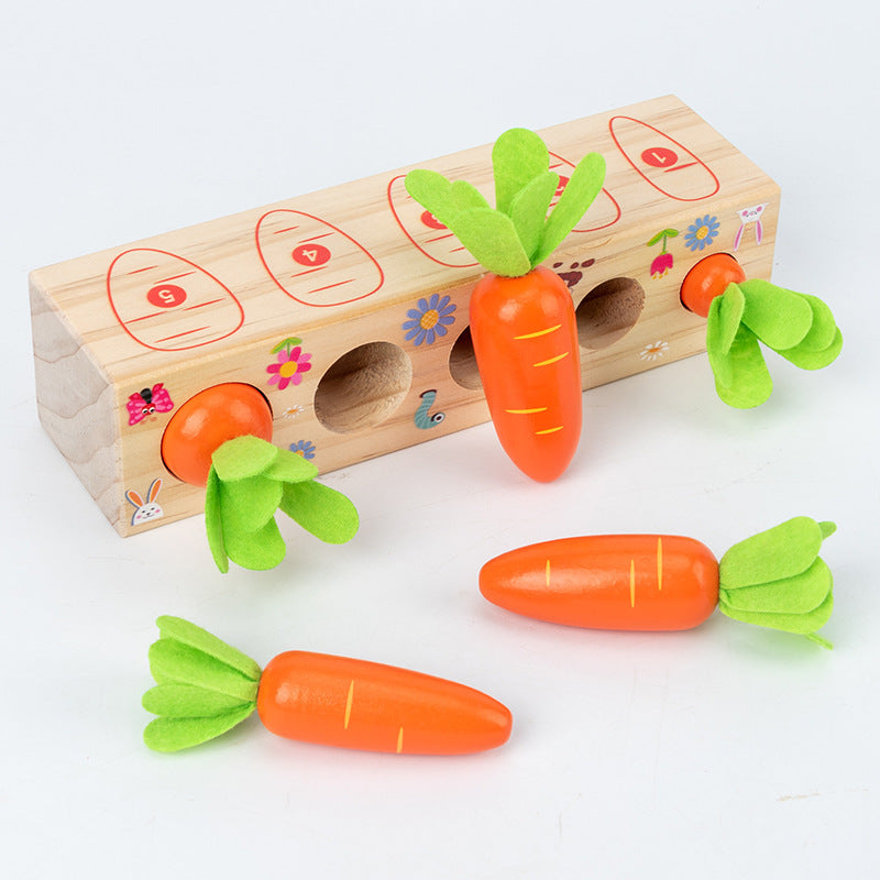 Long Number Radish