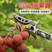 摘果神器琵琶伸缩高空摘水果剪刀加长采摘器柿子枇杷高枝剪桔子
