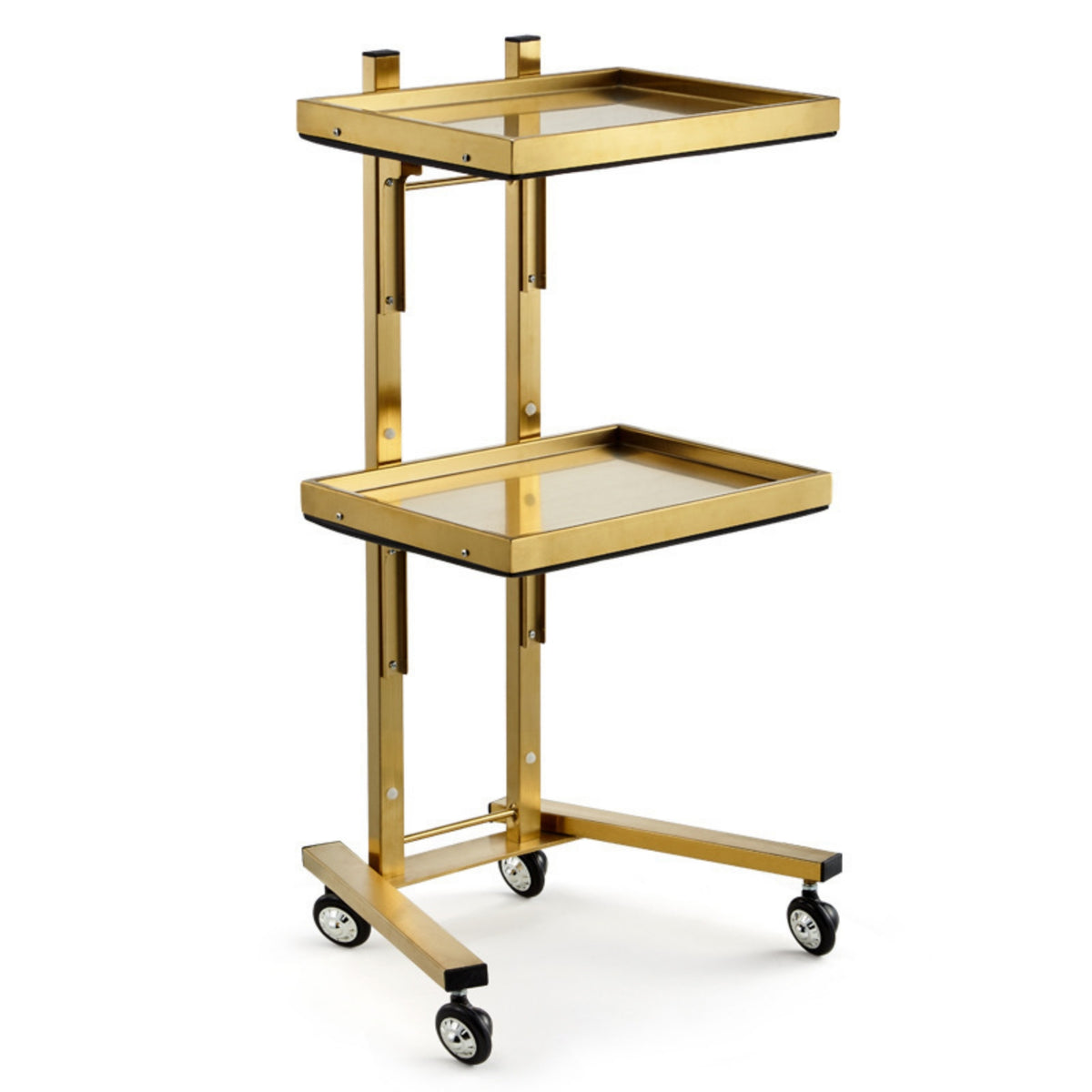 2-Tier Salon Trolley Mobile Beauty Trolley Space-Saving Salon Tray Cart for Hairstylists, Hair Salons