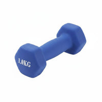 Cast Iron Dumbbell Floor Friendly Hex Dumbbell Non-Slip Hand Weight for Gym