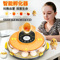 Single-Layer Small Smart Egg Incubator for Home Use