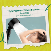 High-pressure filtered shower head