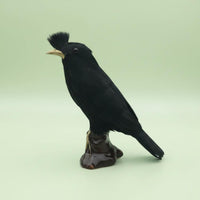 Holiday Prop Artificial Dove Figurine Feathered Surface Fake Dove Figurine Garden Decoration Black Bird Ornament Lifelike for Halloween, Christmas
