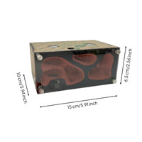 Modular Formicarium Lucid Insectarium Habitat Module Transparente Enclosure for Colony Expansion