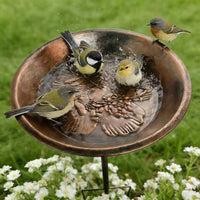 Vintage Dual-Purpose Bird Bath and Feeder with Metal Craft