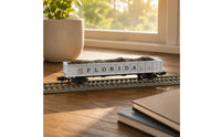 Detailed Lettering Florida FEC Carbon Car Exact Fit N Scale Freight Car Miniature Accessory Hopper Load Insert Easy Installation for Railway Collectors, Miniature Scene