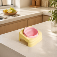 Elevated Pet Bowl, Ceramic Cat Food Bowl with Stand, 175ml Anti Vomit Shallow Dish for Felines & Small Dogs