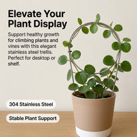Indoor Plant Trellis, 30cm Heart Stainless Steel Trellis for Climbing Plants, Metal Plant Support for Vining Houseplants