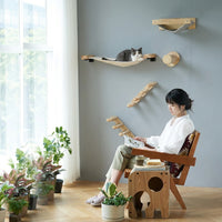 Cat Climbing Frame and Wall-Mounted Indoor Furniture, 5-level Activity Center with Condo, Space-Saving Playground for Large Adult Cats, 20kg