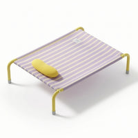 Elevated Dog Bed with Pillow Washable Raised Dog Cot with Mesh Comfortable