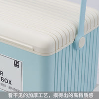 新款13L保温箱高颜值节日送礼冰镇饮料水果棒冰冰块冷冻冷藏箱