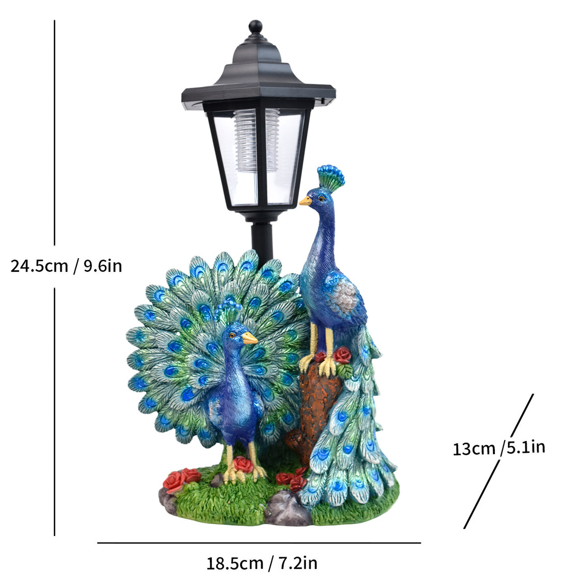 Peacock
