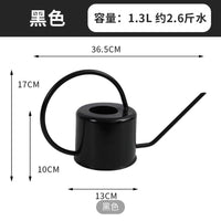 亚马逊热销轻奢创意洒壶园林植物复古不锈钢淋花浇水壶