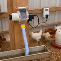 poultry feeder