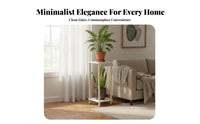 2-Tier Planter Rack Floor-Standing Tiered Plant Stand Minimalist design
