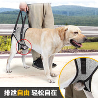 Pet Dog Rear Leg Support Harness for Injured or Elderly Dogs