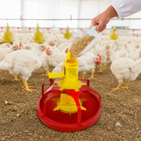 Feed Tray for Chicks, Poultry Feeder, Courtyard, Chicken Coop, Farm, Hobby, Durable, Plastic and Metal