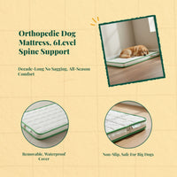 Orthopedic Dog Bed, Foam Mattress, Waterproof, Non-Slip