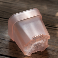 Seedling Pots, 5cm, With Water Saucer, PP Material, Semi-transparent, Set of 3, For Succulents, Sowing, Cuttings
