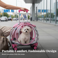 versatile dome opening Pet Trolley Multiple Ventilation Holes for veterinary clinic Visits