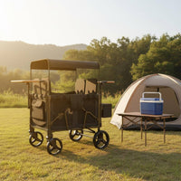 Push Wagon Push Wagon Padded Seats Child Weather Hood Infant Gear