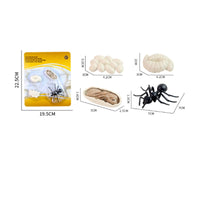 4 Pieces Molded Animal Life Cycle Toy Three-Dimensional Life Cycle Model Learning Educational Figures Realistic for Science Lessons